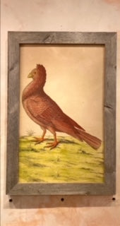 Brown Bird Custom Framed Art